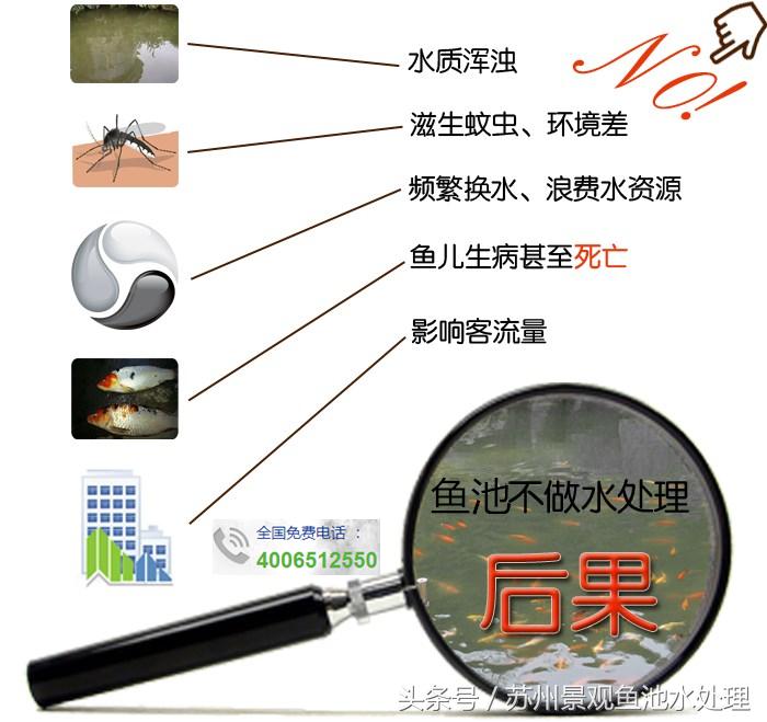 观赏鱼用药,观赏鱼鱼药的使用方法和注意事项