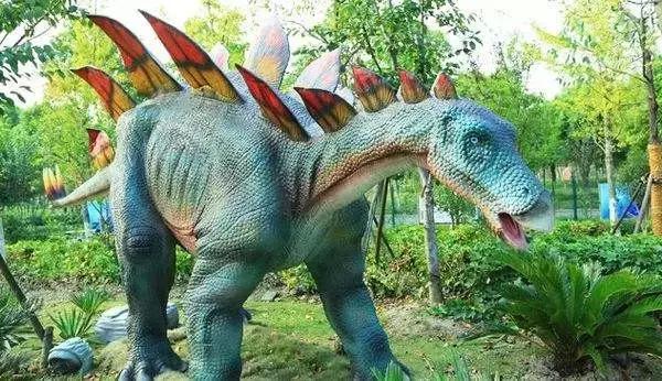 魔法宝贝门票,魔法宝贝团购