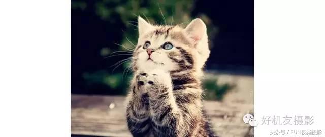 摄影光圈使用技巧,照相光圈如何使用