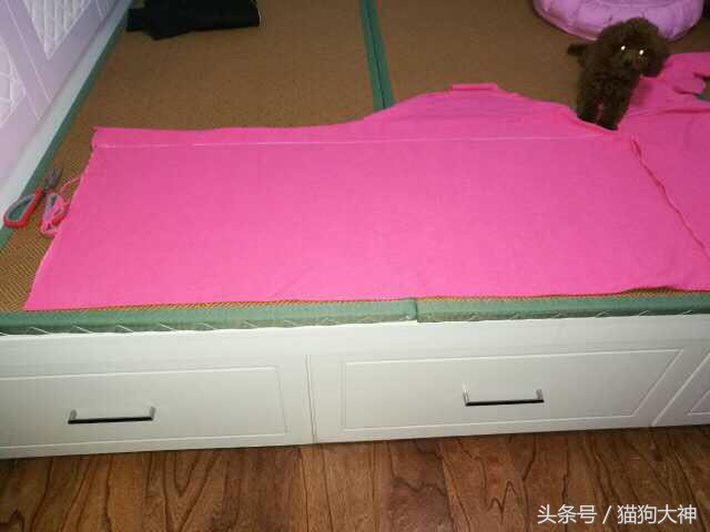 漂亮的狗窝怎么做,漂亮的狗窝