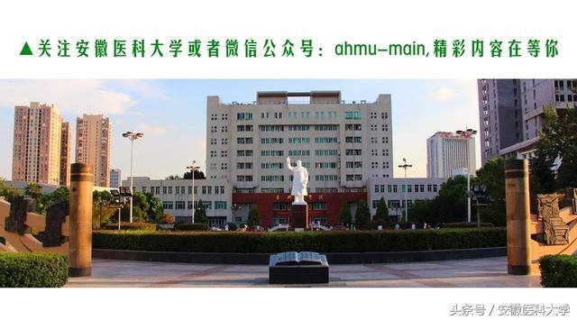 安徽医科大学学子又双叒叕获一等奖啦，跻身全国总决赛！