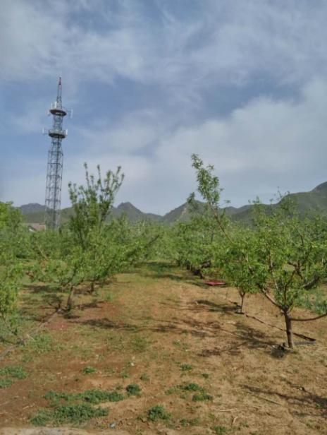 最美乡村小院北京,北京美丽新乡村精品独院出租