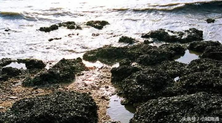 南通哪边的海最美,南通蓝色海洋海岛