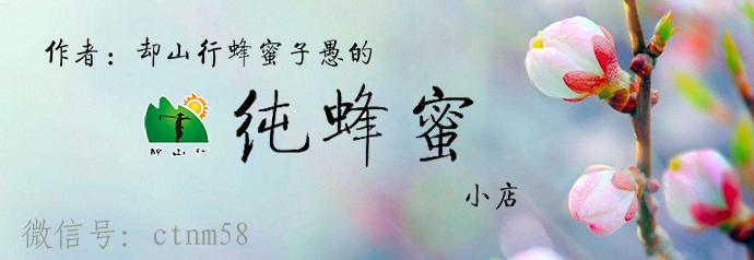 蜜蜂生病怎么治最好,蜜蜂得病了如何防治