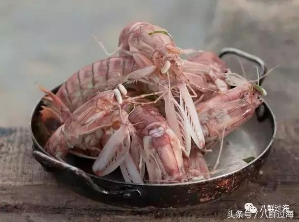 比手臂还粗的皮皮虾你吃过了吗,比手臂还要大的皮皮虾你吃过没有