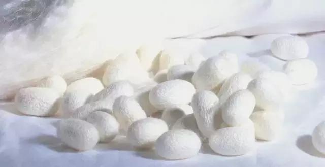 被子长时间不用有霉味怎么处理,被子去除霉味要晒多久干