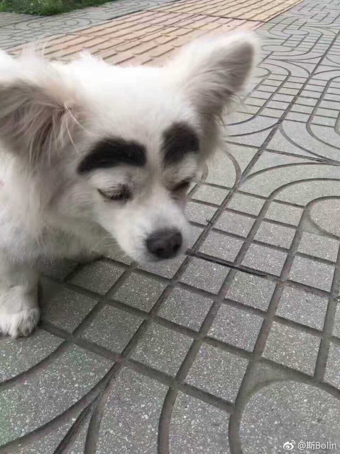 男子骑电瓶车失控撞上路边小哥,男子骑电动车撞上路边停放车受伤