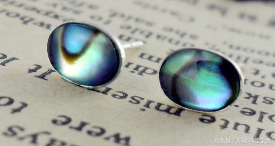 鲍鱼除了吃还代表什么,鲍鱼除了是食物还是什么东西