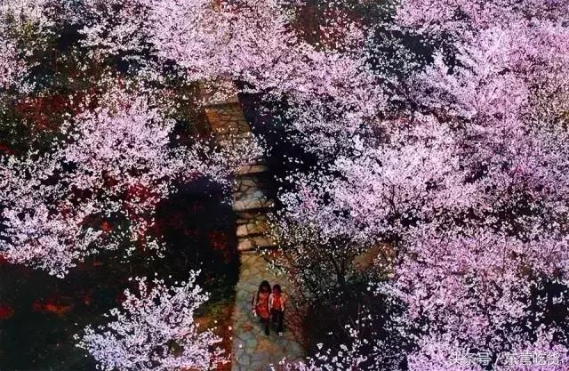 东营五一假期好去处,五一东营去哪里玩比较好