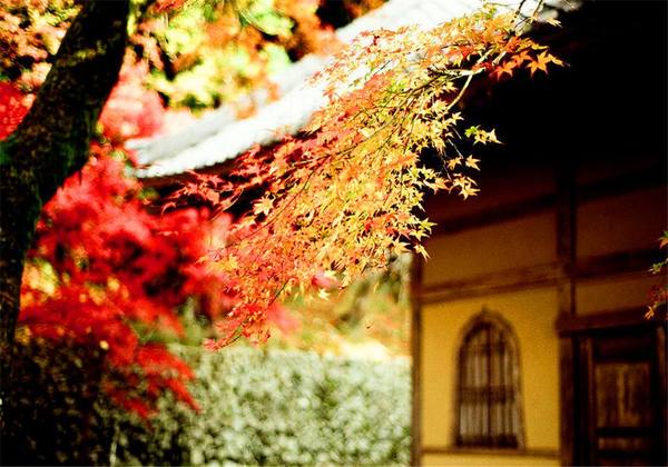 日本大阪八大经典逛吃地推荐附五年多次旅游签证办理详解
