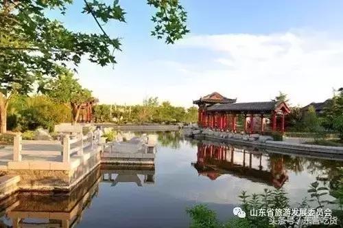 东营五一假期好去处,五一东营去哪里玩比较好