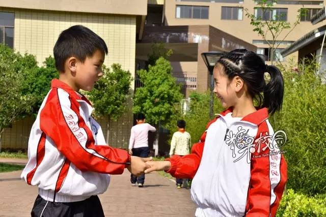 校园资讯开头,校园资讯栏目