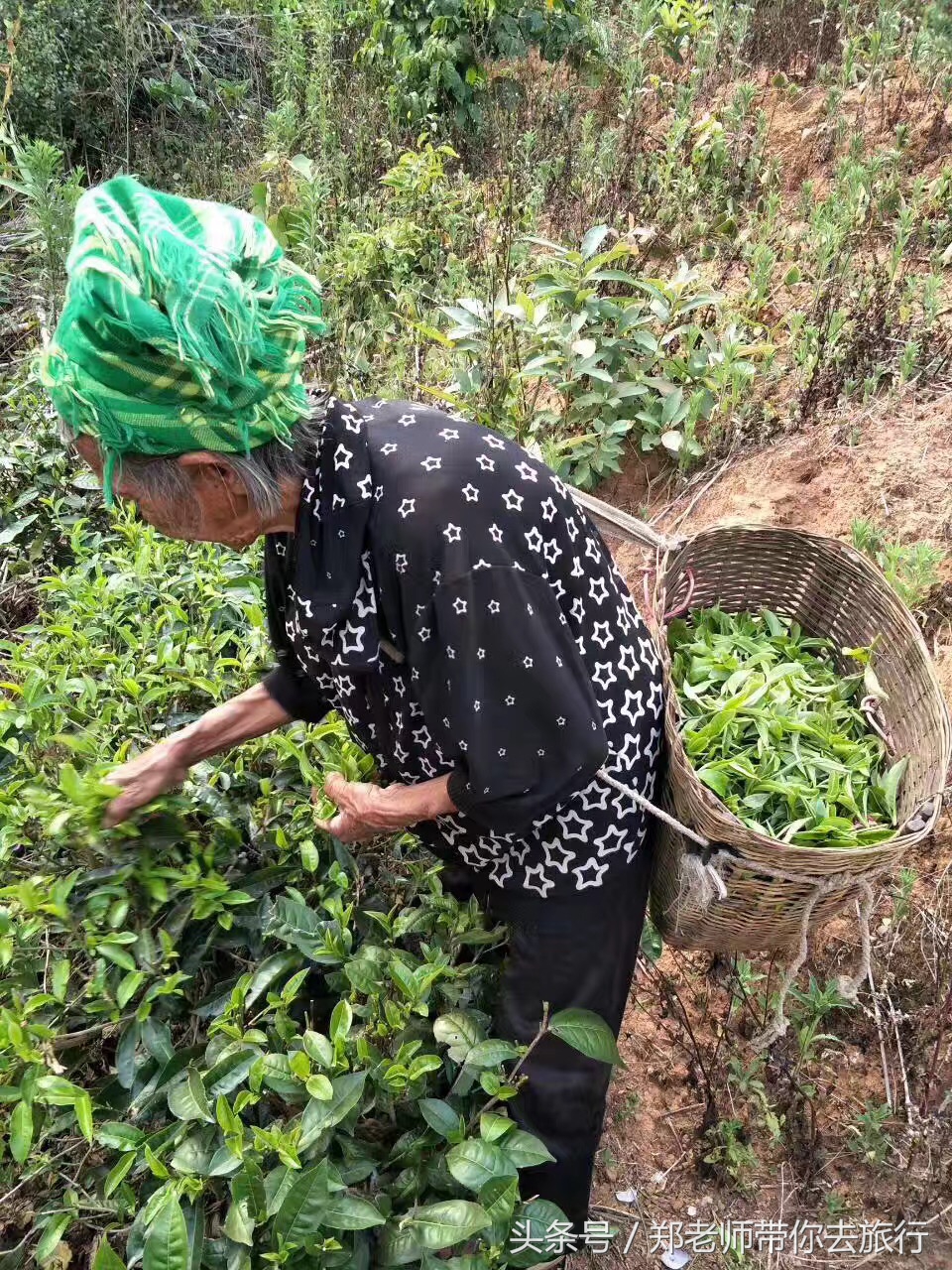 云南自驾泰国旅游攻略最新,泰国游跟团游自由行