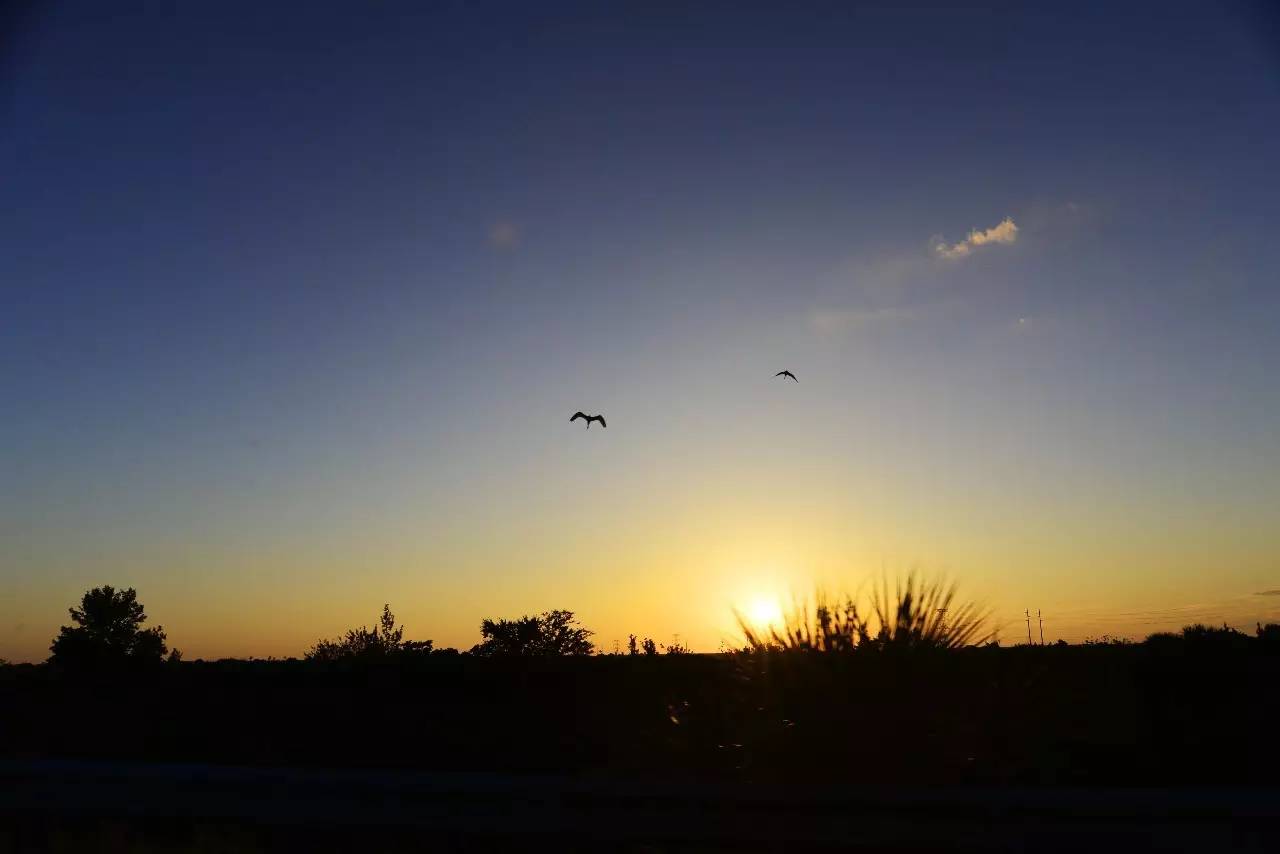 佛罗里达海滩游玩攻略,来迈阿密旅游