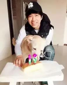 古牧真的很难养吗,古牧被遗弃了