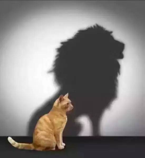 都说IT销售NB，看完我真信了~