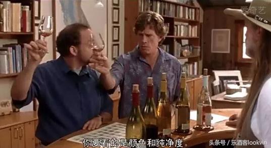 葡萄酒大师品鉴红酒,葡萄酒大师酿酒视频