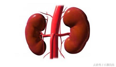 iga肾病导致尿毒症可以肾脏移植吗,iga肾病如何引起