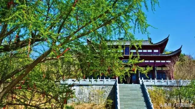 临沂三区九县改成什么了,临沂市三区九县名称