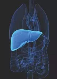 肝癌晚期免疫加靶向治疗效果,肝癌晚期患者免疫疗法