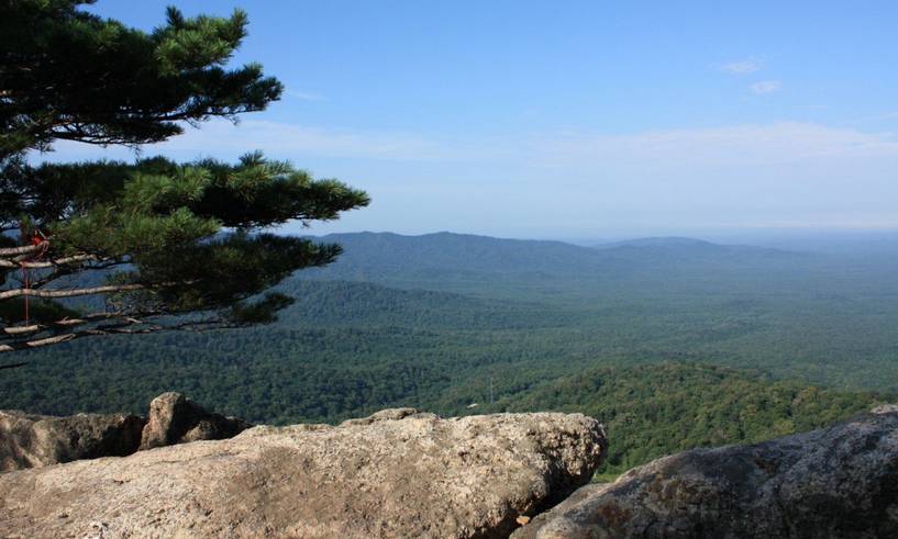 哈尔滨到佳木斯路上好玩的,哈尔滨到佳木斯怎么去最省钱
