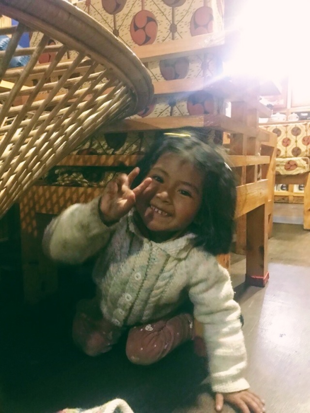 尼泊尔徒步ebc一般多大年龄,尼泊尔喜马拉雅ebc徒步大概多少钱