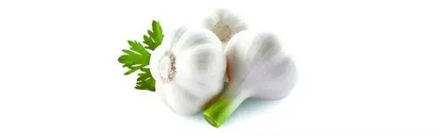 什么药能长期吃预防各种病,吃一粒药可以预防很多种疾病