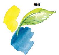 水彩画入门基础知识大全,水彩画水墨画有什么区别基础知识