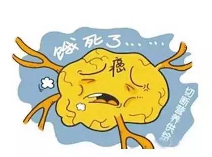 小苏打“走红”能防癌？这些小苏打“系列食物”纷纷躺枪！