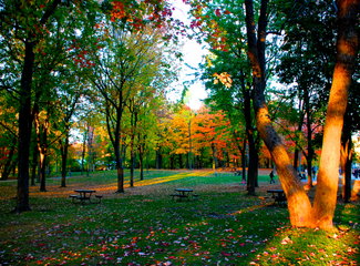 美西自驾游11日攻略,美加旅行视频大全