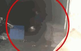 贵阳脆哨软哨,贵州贵阳正宗猪油