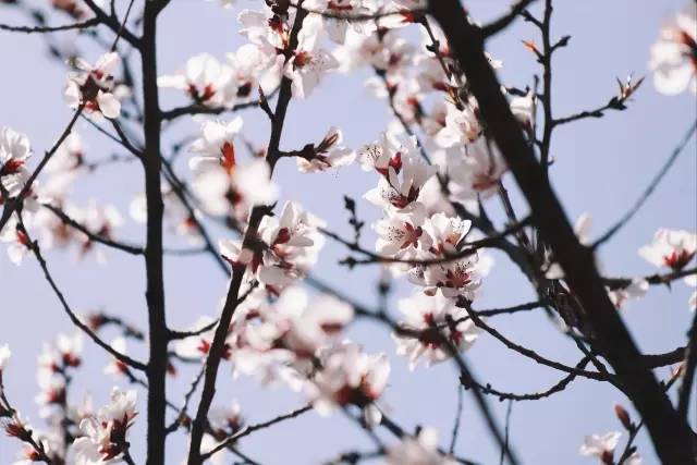 跟着鹿晗去兜风,跟着鹿晗去北京