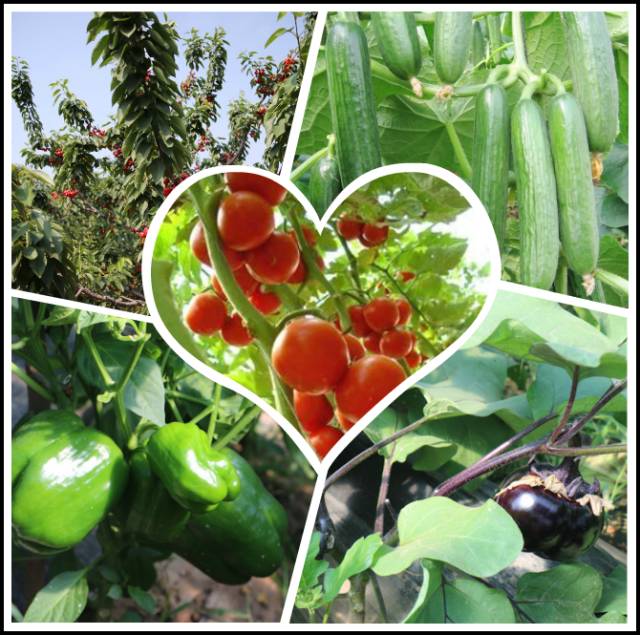 聊城市五一小长假去哪里玩,聊城五一假日攻略