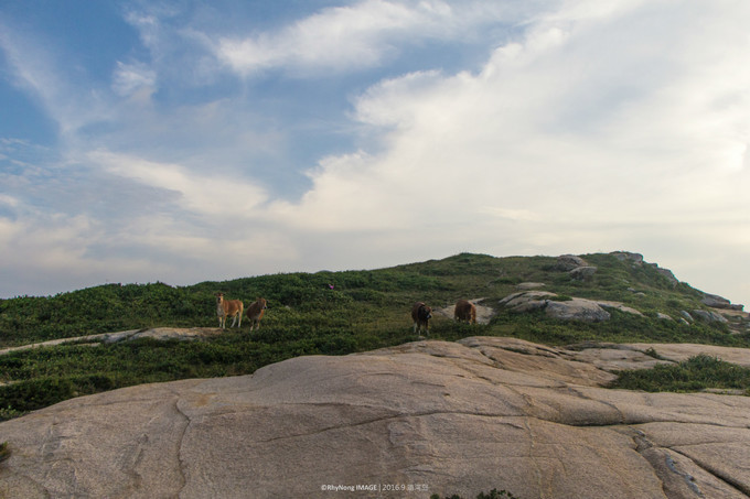 夏日沙滩玩水letsgo,letsgo夏日旅行