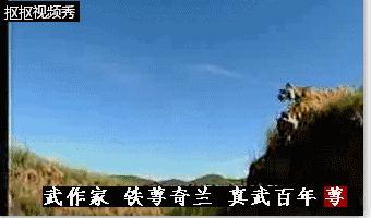 太极拳和心意把拳哪个更厉害,八卦掌比太极拳厉害