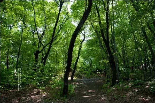 吉林省旅游五一景点推荐,五一游玩吉林出发