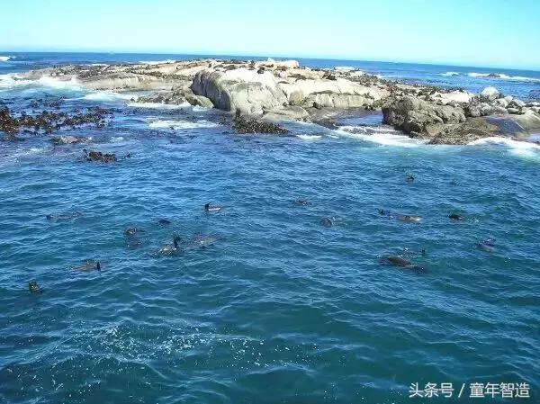 假期一定要带孩子看的5部纪录片,孩子必看的10部自然纪录片