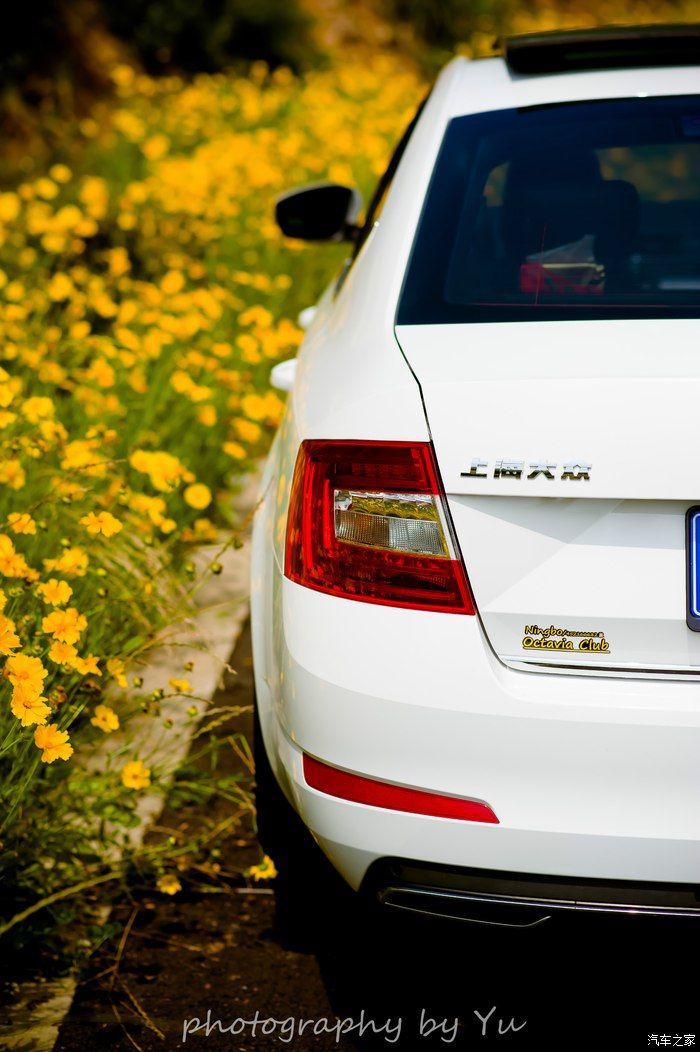 顾家好男人开什么车,顾家好男人买车