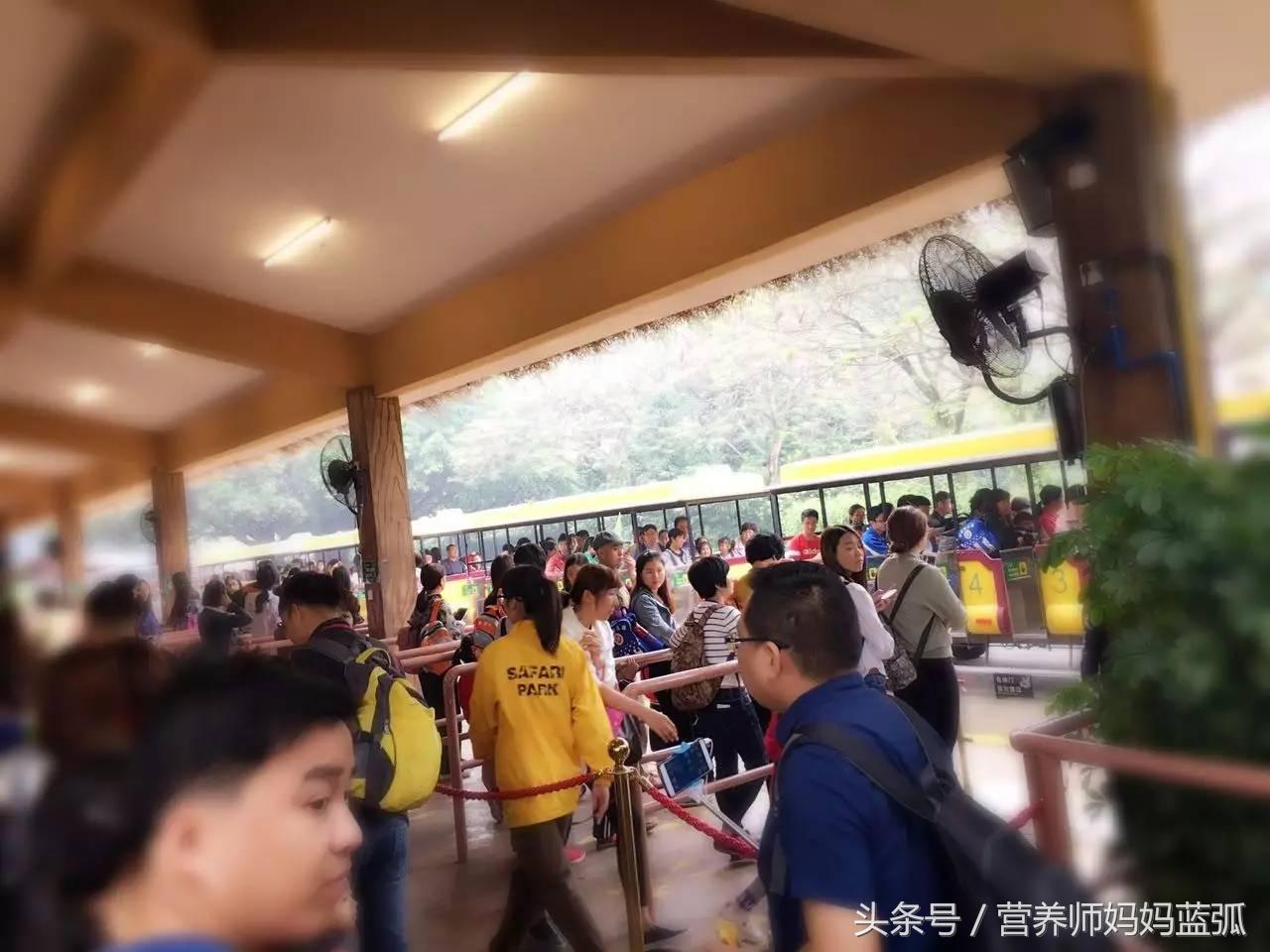 暑假长隆海洋王国游玩感受,海洋王国好玩还是长隆野生动物园