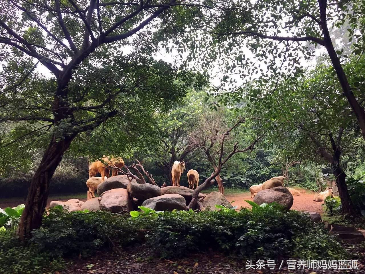 广州长隆海洋王国一日游攻略,广州长隆海洋王国亲子攻略