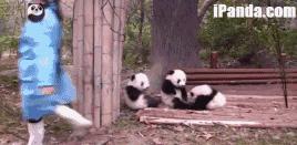 陪你在成都的街头走一走,和我到成都的街头走一走的歌名