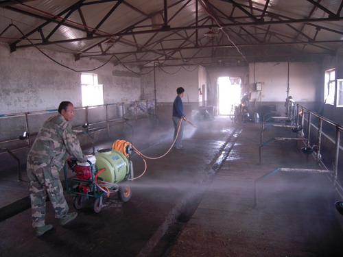 鐗涜垗娑堟瘨甯哥敤鐨勬秷姣掑墏,鐗涜垗娑堟瘨甯哥敤鐨勬秷姣掑墏姣斾緥