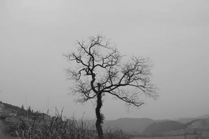 photoshop怎么快速框选抠图,如何用photoshop快速抠图