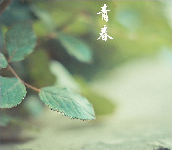 我荒芜了整个青春，只为等你，阳光照进你我眼里心里