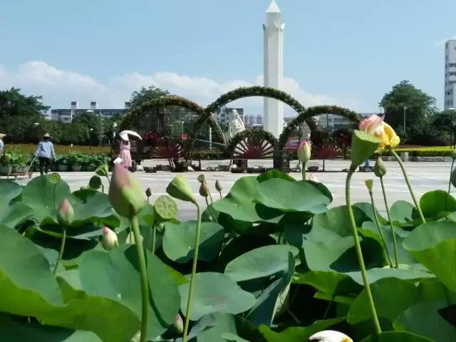 广西贵港是海边城市吗,贵港市广西最没存在感的城市