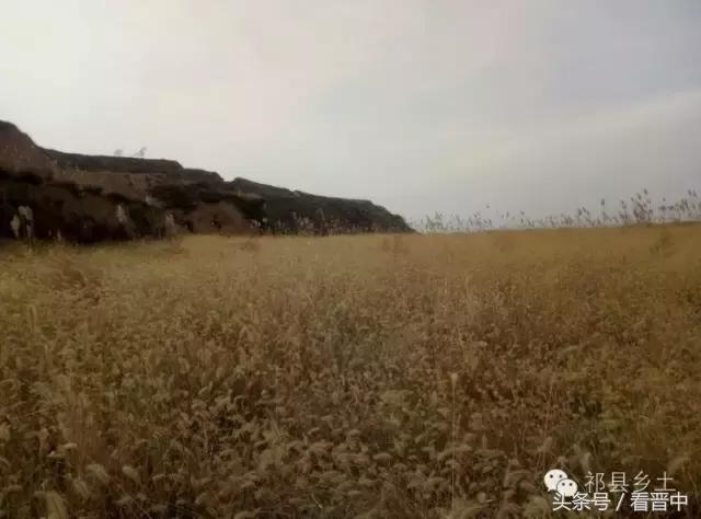 祁县三个村,祁县所有村名单