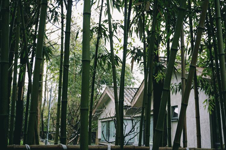 成都周边适合一家人度假民宿,成都出发两日游住民宿