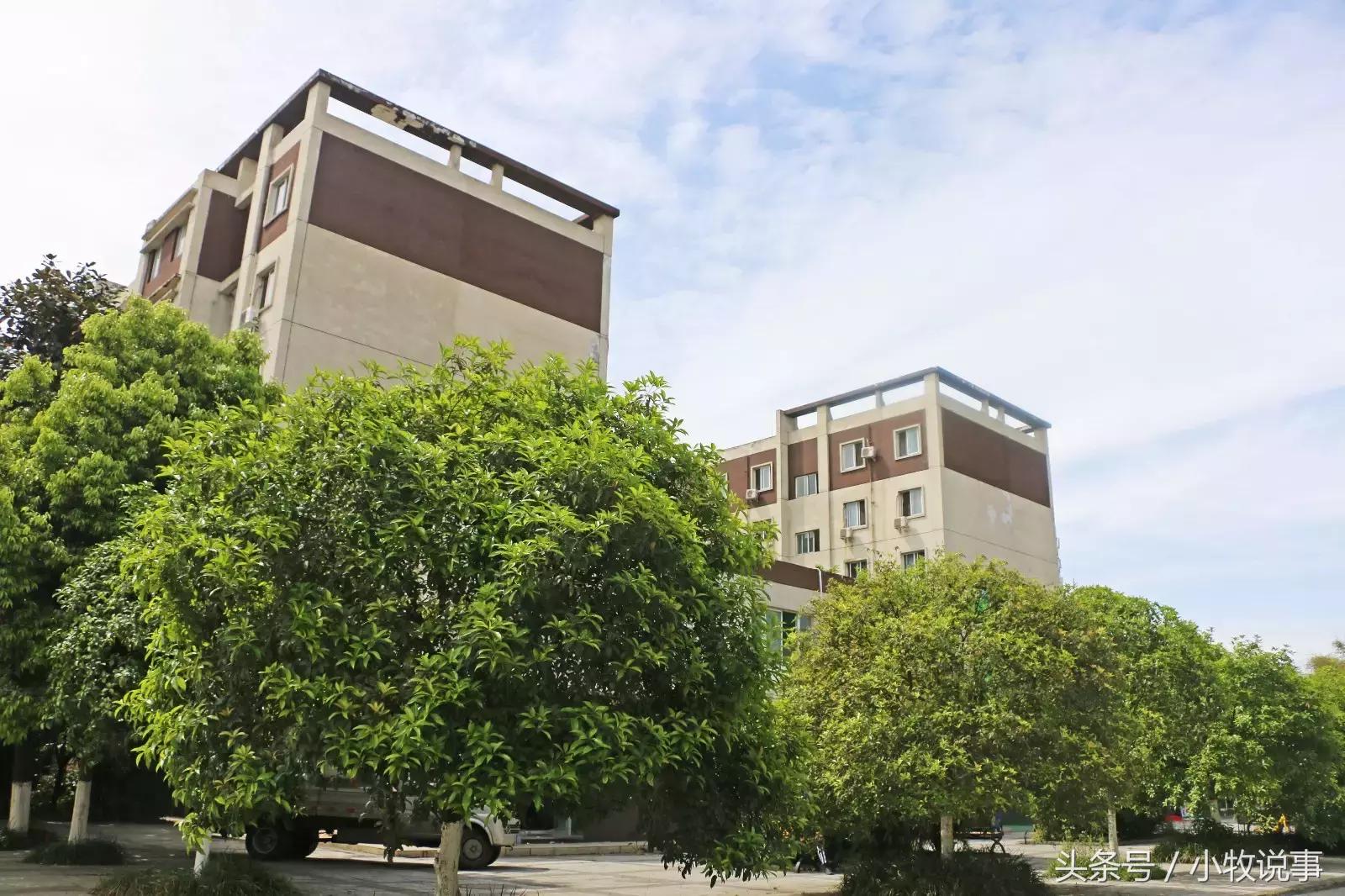 再见了四川大学,成都川大锦城学院