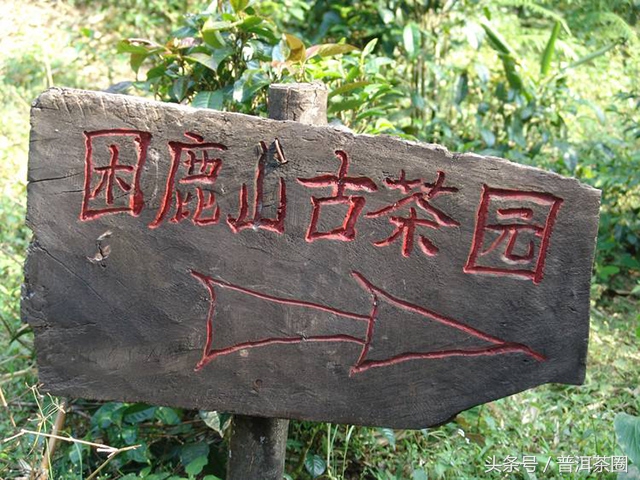 云南普洱茶名山名寨口感,老乌山普洱茶口感和哪个名山相似