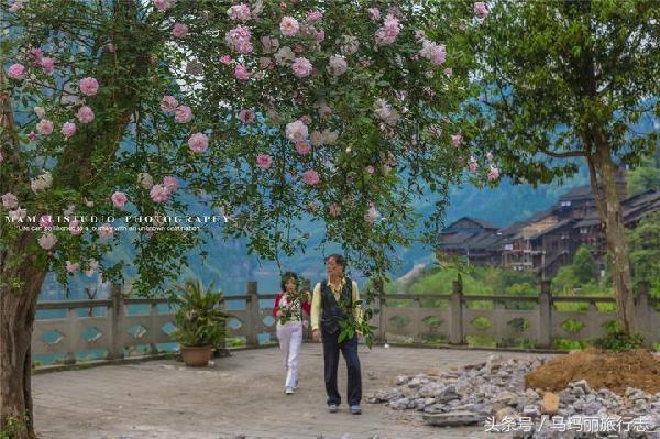 乌江百里画廊景区全景,千里乌江百里画廊古镇